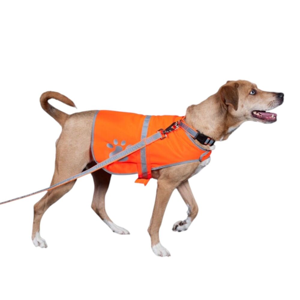 🆕 Petflect Orange Reflective Dog Safety Vest
